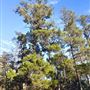 Banyowla Regional Park