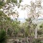 The Chittering Valley