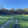 Shambala Forest Retreat