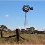 Cheela Plains Station