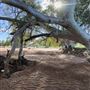 Wooramel River Retreat