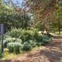 Fawkes House Country Retreat