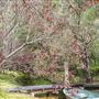 Margaret River