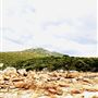 Waychinicup National Park