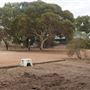 Sandalwood Yards