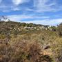 Lesmurdie Falls