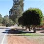 Canns Road