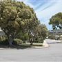 East Fremantle