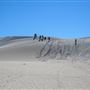 Lancelin