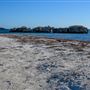 Milligan Island Eco Camping