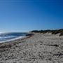 Sandy Cape
