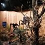 Greenbushes Discovery Centre