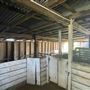 Shearing Shed @ Duke's Vineyard