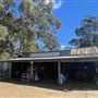 Shearing Shed @ Duke's Vineyard