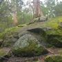Porongorup National Park