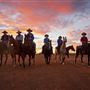 Pardoo Wagyu Station