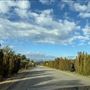 Abernathy Road