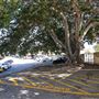 Fremantle Oval & South Fremantle Football Club