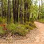 Beelu National Park