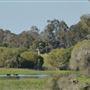 Whiteman Park