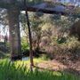 84 Balinga Drive