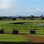 Duke's Vineyard