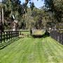 Alwyn Park Stud