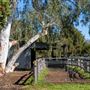 Alwyn Park Stud