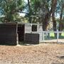 Alwyn Park Stud