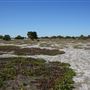 Whiteman Park - Flats for Build