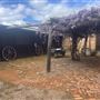 1418 Katrine Rd