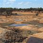 Kalgoorlie-Boulder - Overview