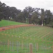 Jarrah Jacks Brewery & WoodSmoke Estate Wines
