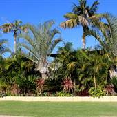 Wattle Grove