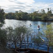 The Arthur River