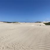 Southgate Dunes