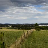 Monjingup