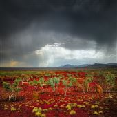 Karijini National Park - Hamersley Gorge