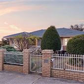 547 Morley Drive
