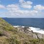 Lowlands Beach, ALBANY