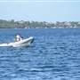 Claremont - Foreshore