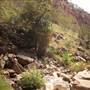 El Questro - Emma Gorge