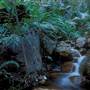 El Questro - Emma Gorge