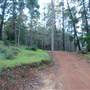 Beelu National Park