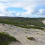 Hamelin Bay