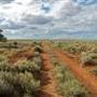 Lake Ballard, Menzies