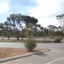 Merredin