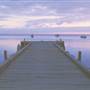 Monkey Mia, Gascoyne