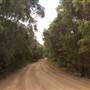 Thomas Rd - Lower Denmark
