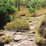 Tier Gorge